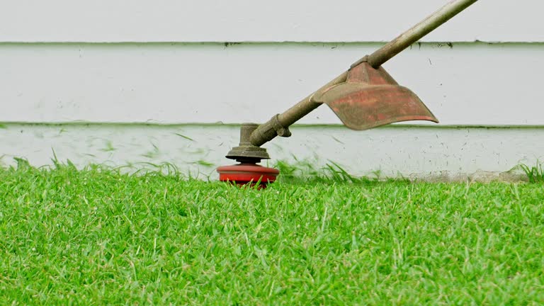Best Lawn Drainage Solutions  in Mount Hope, NJ